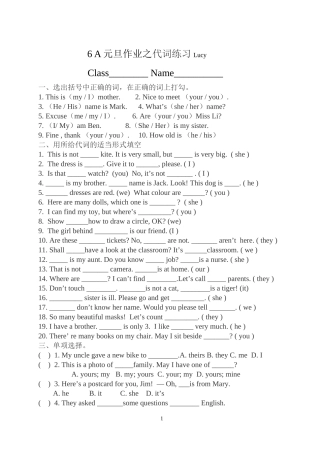 6A元旦作业之代词练习