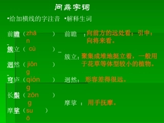 静默草原课件