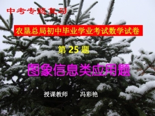 中考复习专题图像信息