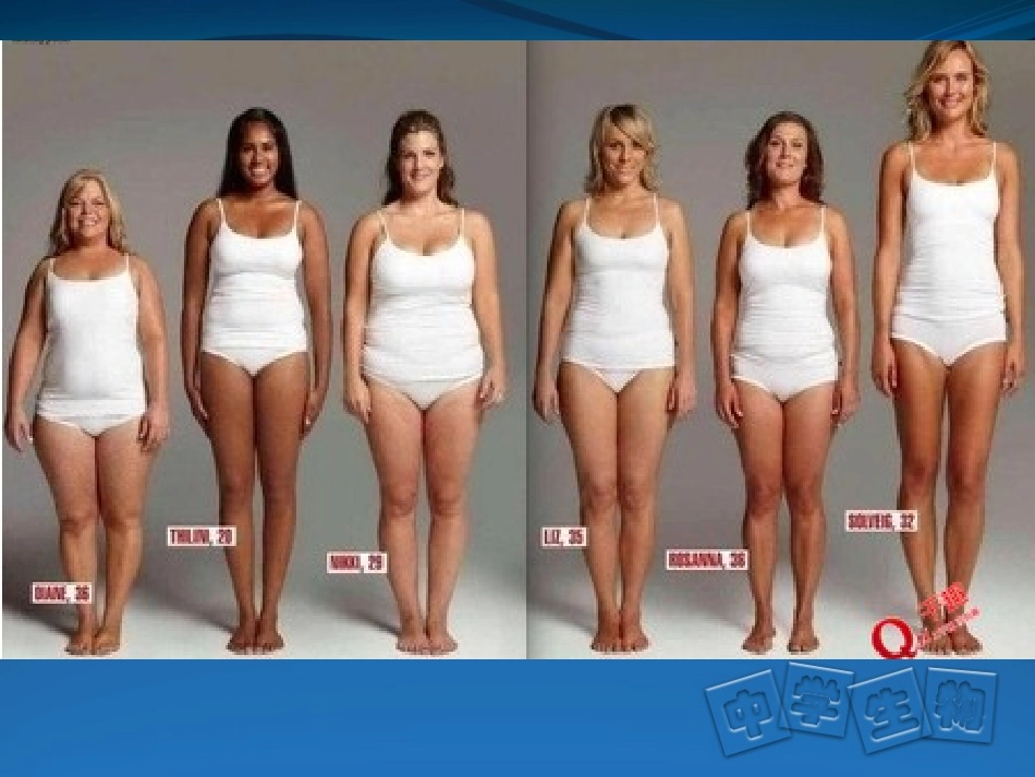 《呼吸与呼吸作用_第3页