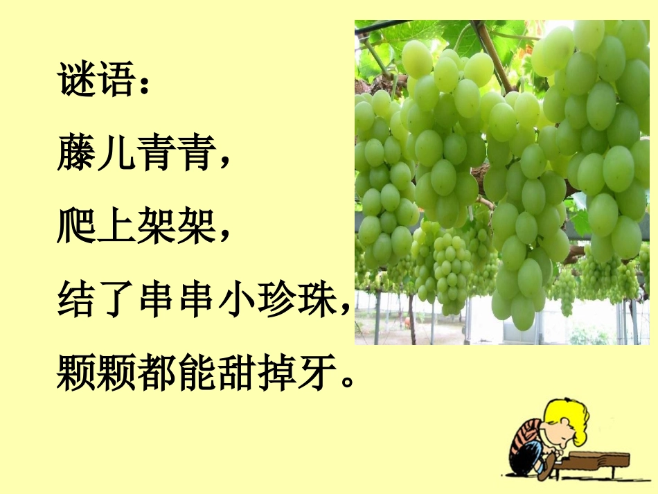 《葡萄沟》教学课件1_第1页