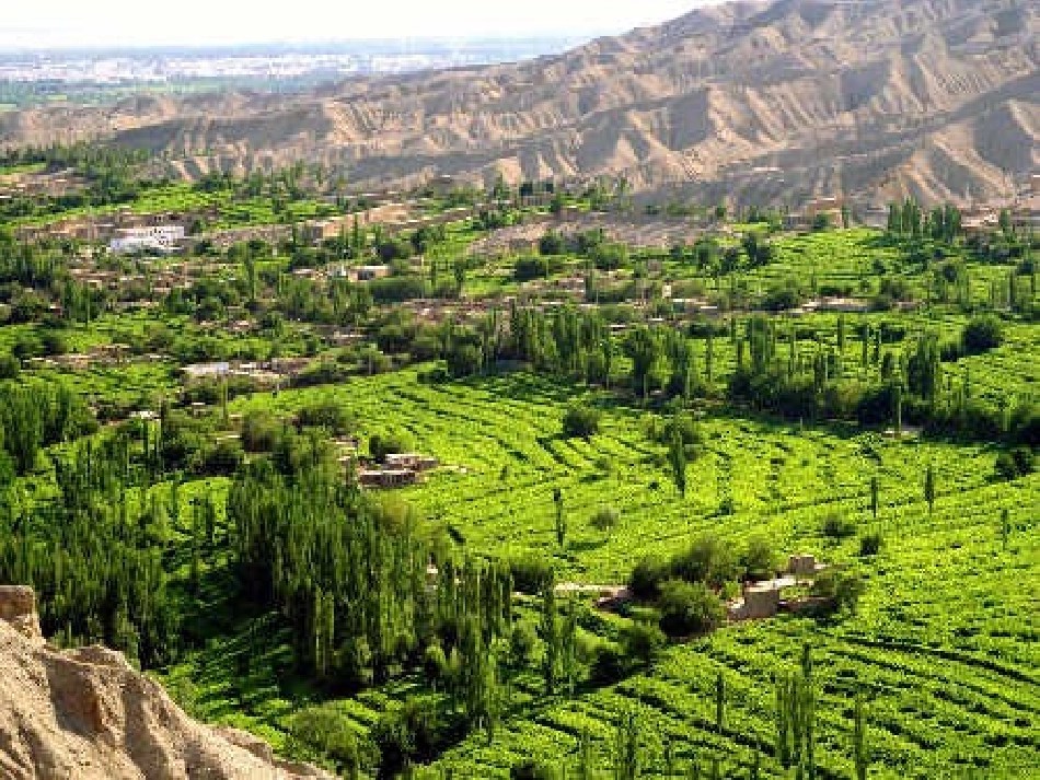 《葡萄沟》教学课件1_第3页