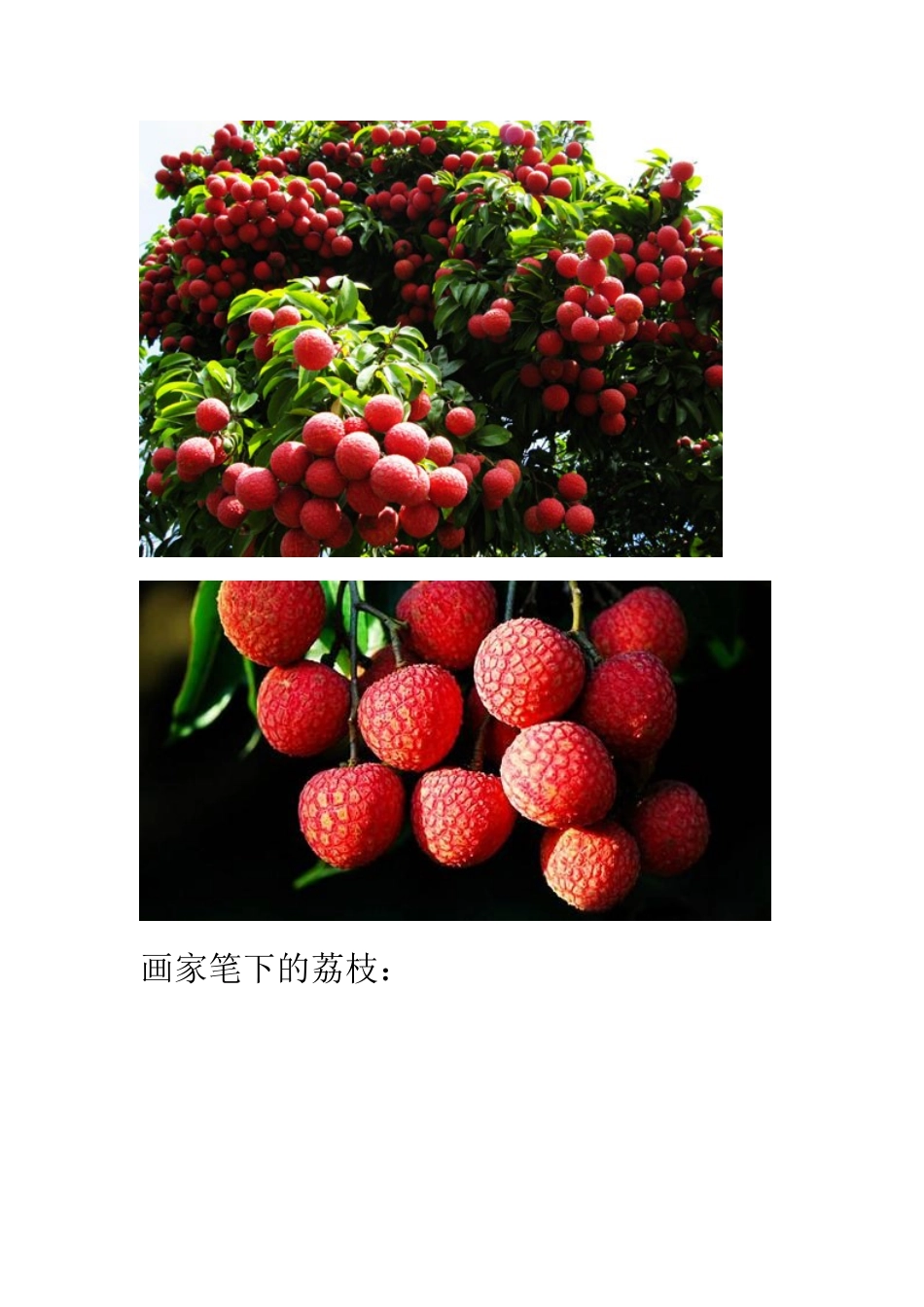 第二课：荔枝_第2页