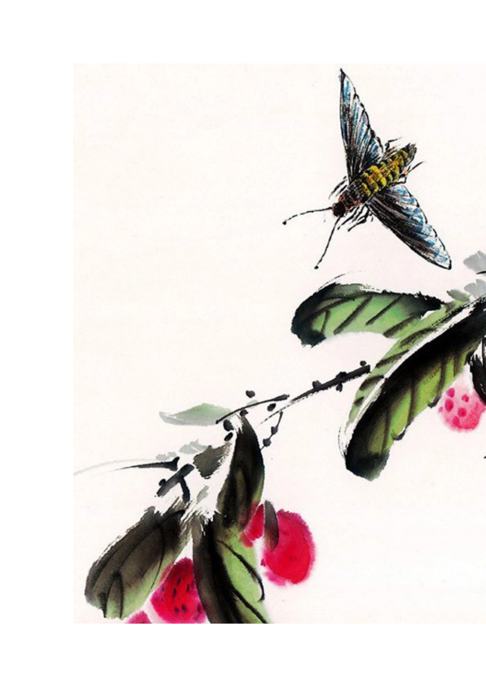 第二课：荔枝_第3页