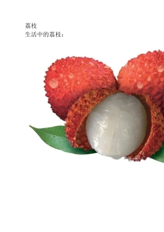 第二课：荔枝