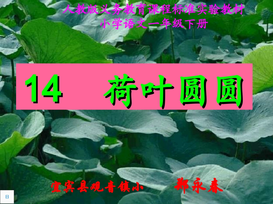 《荷叶圆圆》教学课件郑永春._第1页
