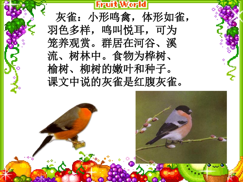 《灰雀》PPT课件自己加工_第2页