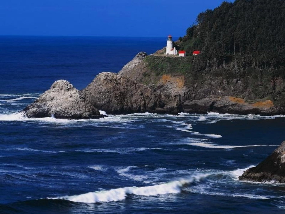 新目标八年级下化学优质课件《爱护水资源》_第3页