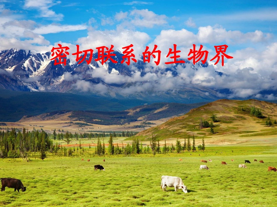 青岛版小学科学课件《密切联系的生物界》_第1页