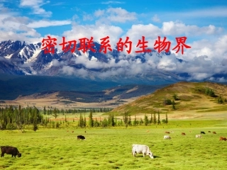 青岛版小学科学课件《密切联系的生物界》
