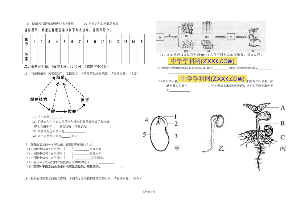 2012～2013学年度第一学期七年级上册期中第三次月考试卷_第2页
