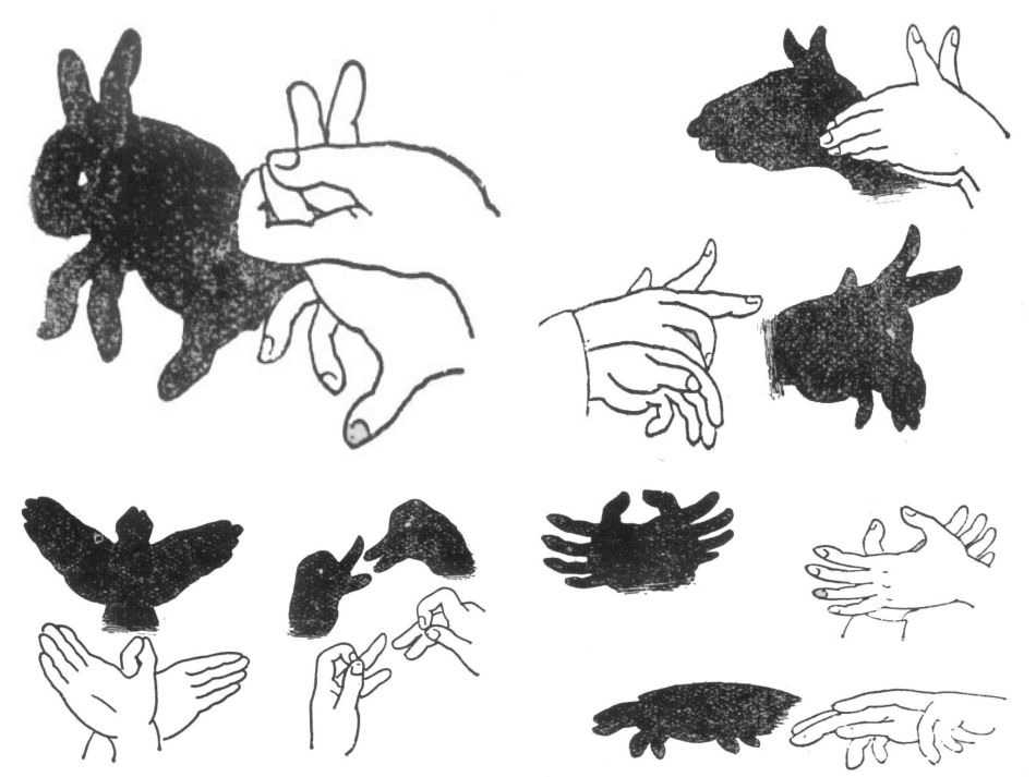 投影与三视图(第一课时)_第1页