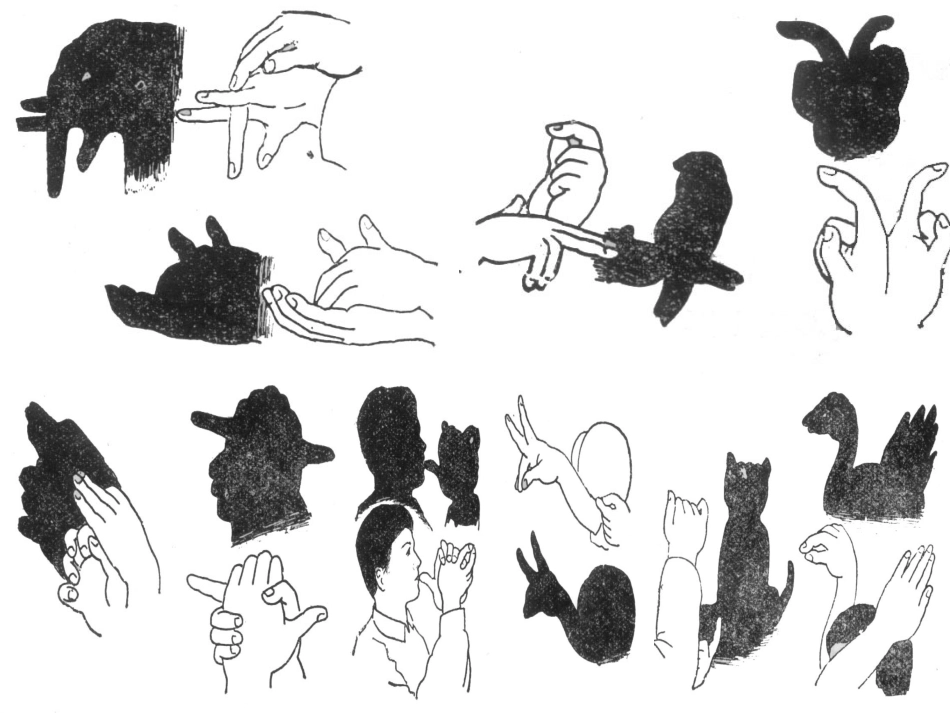 投影与三视图(第一课时)_第2页