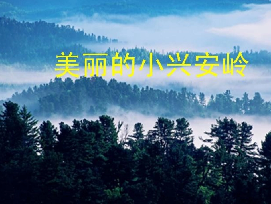 23.《美丽的小兴安岭》PPT课件_第1页
