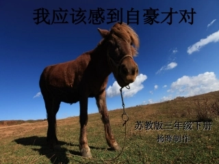 三年级语文下册第五组2-我应该感到自豪才对第一课时课件