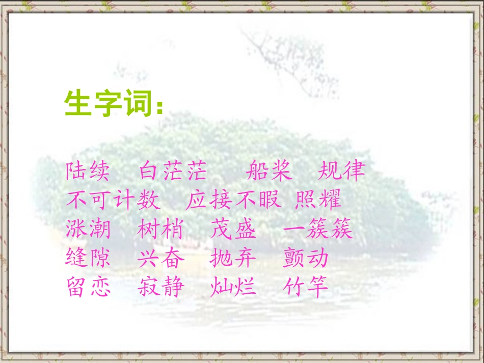 3.鸟的天堂(精品课件)ppt_第3页