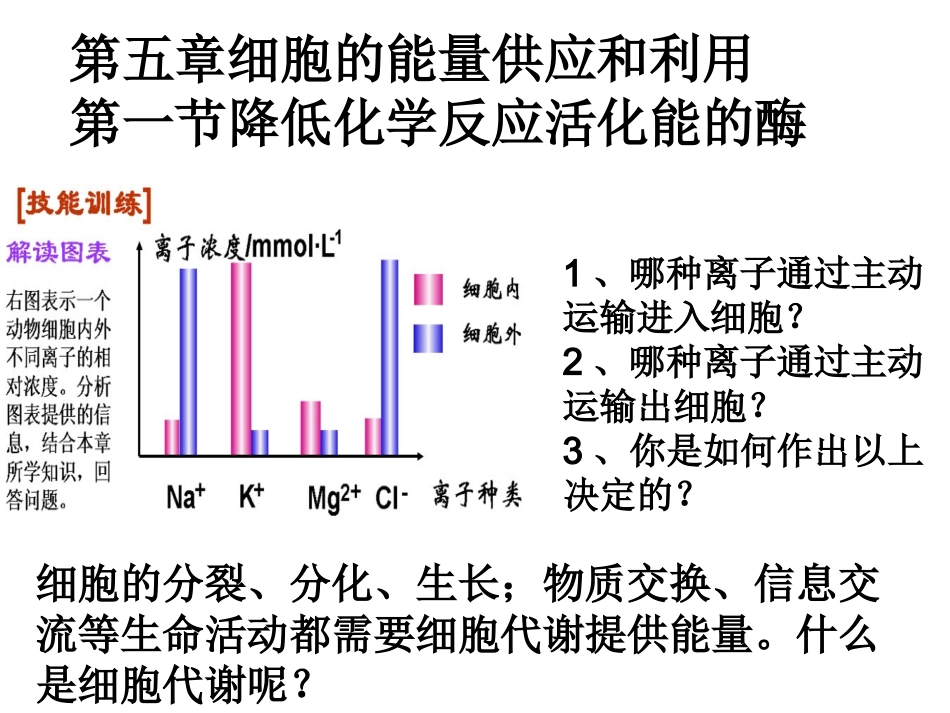 降低化学反应活化能的酶_第1页