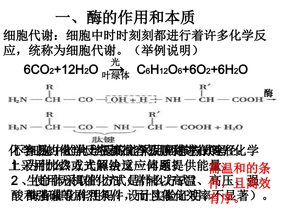 降低化学反应活化能的酶_第2页