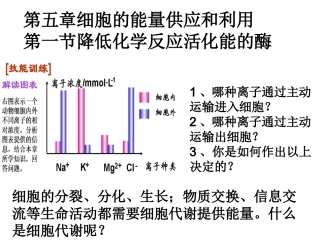 降低化学反应活化能的酶