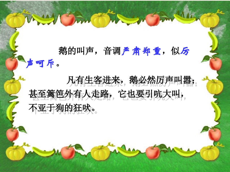 《白鹅》教学演示课件_第2页