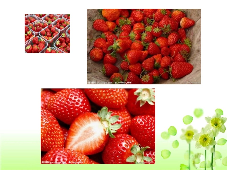 人教2011版小学数学三年级乘法口算_第2页