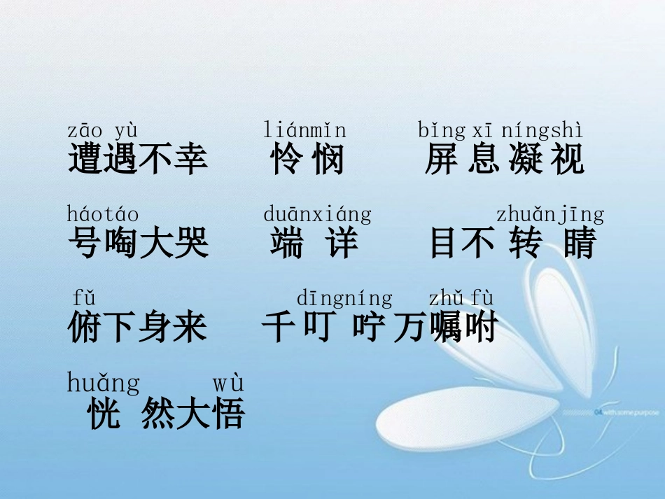 卡罗纳ppt_第3页