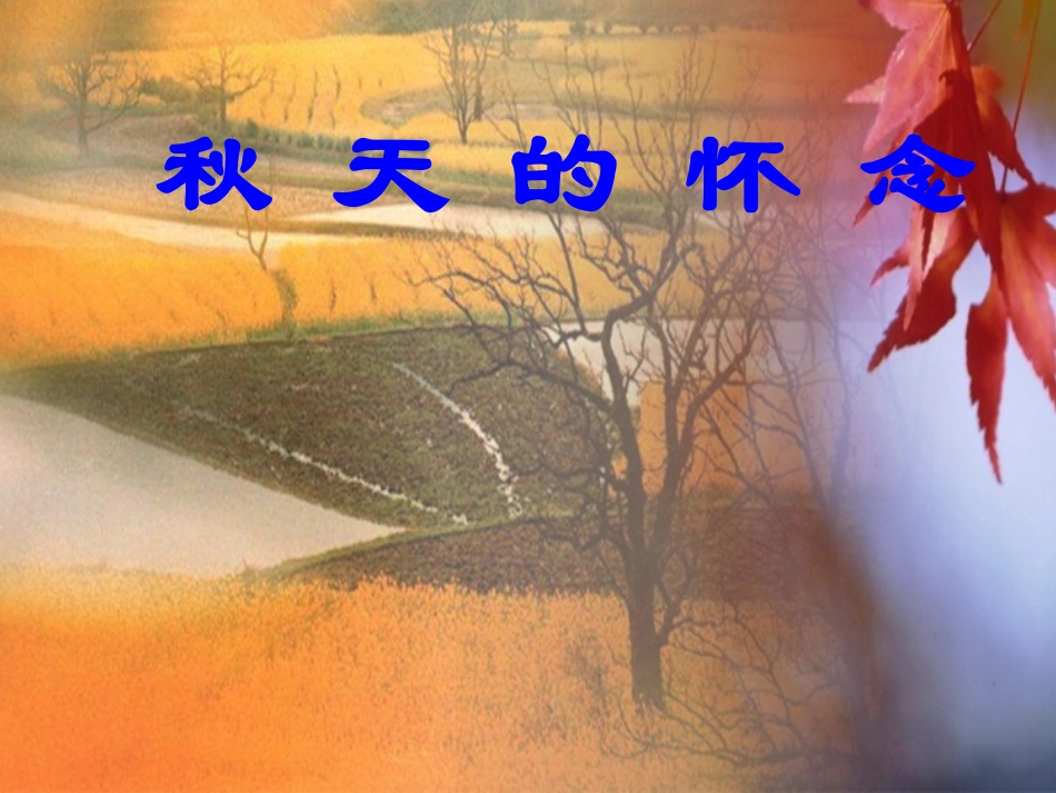 12秋天的怀念_第1页
