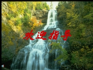 人体和动物体的组成