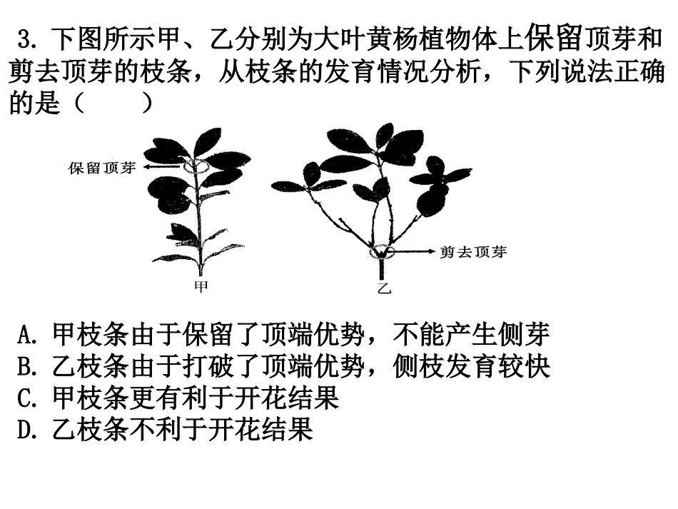《生命活动的调节》检测题(含2014试题)_第2页