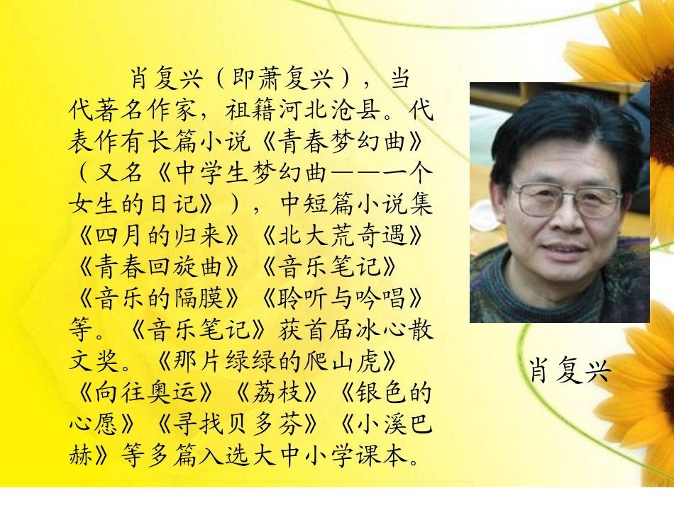 花边饺子里的爱_第2页
