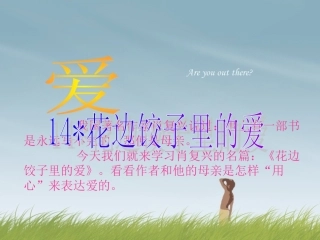 花边饺子里的爱