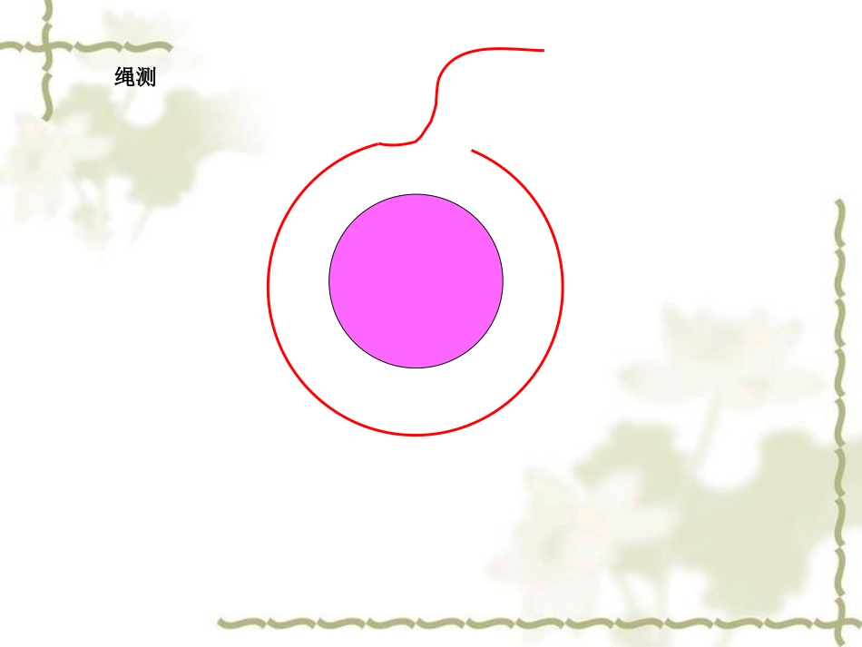 圆的周长(1)_第3页