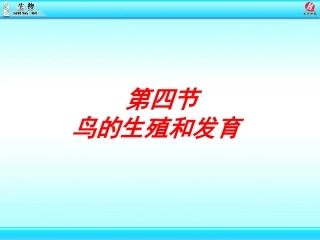 4鸟的生殖和发育.