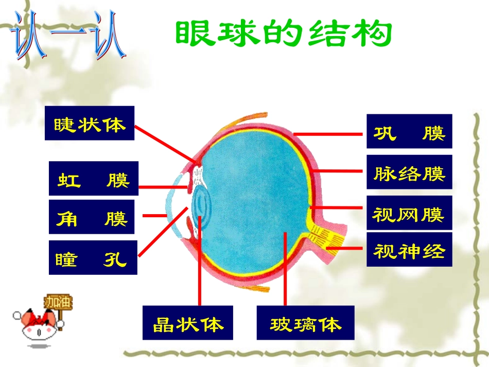 6.1人体对外界环境的感知(1)_第2页