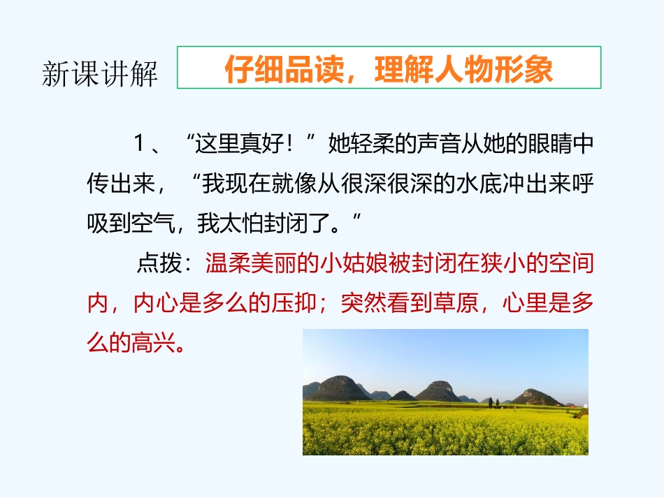 (部编)初中语文人教2011课标版七年级下册《带上她的眼睛》_第3页