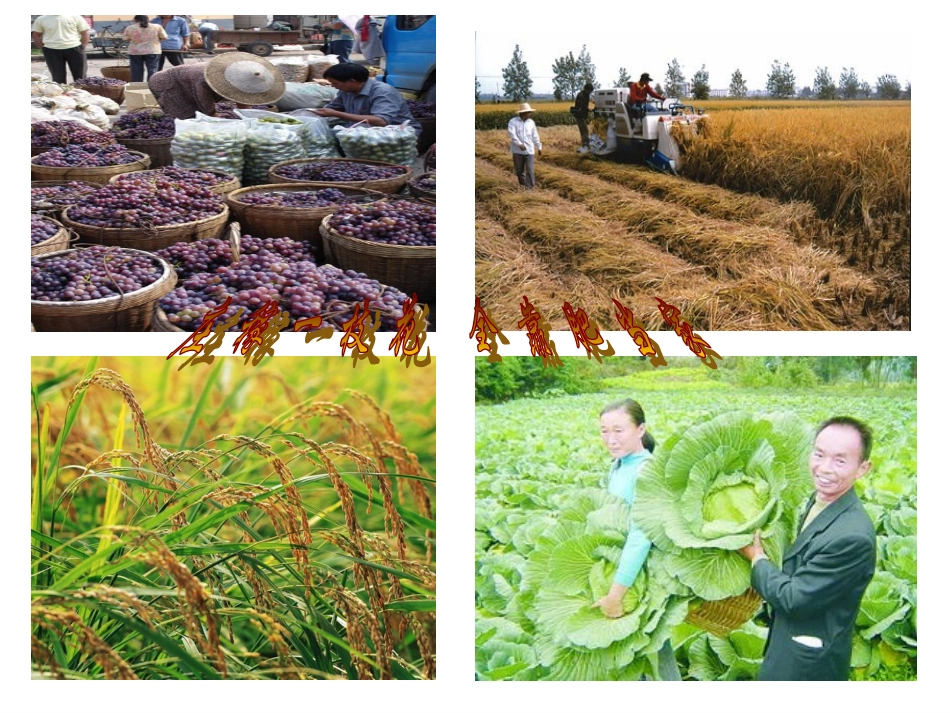 酸碱盐的应用_第2页