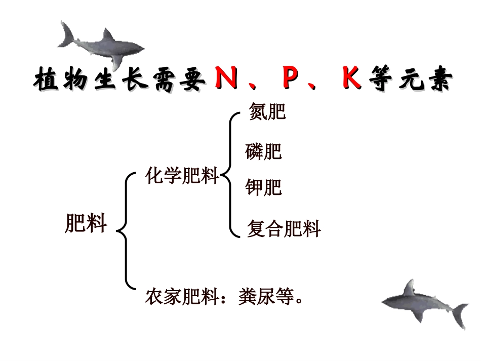 酸碱盐的应用_第3页