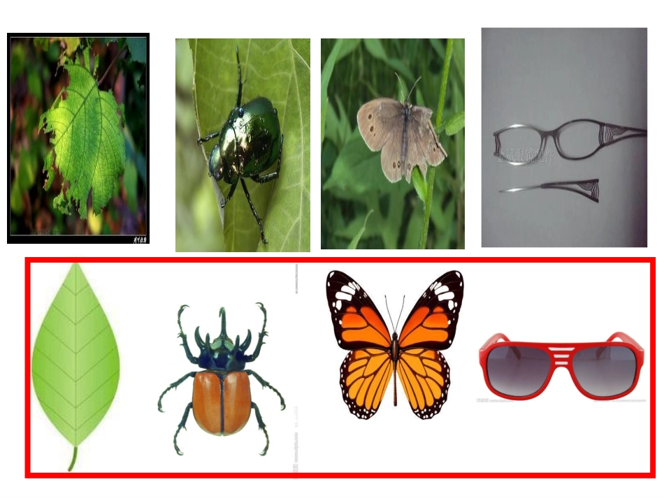 杨彩月轴对称图形._第2页