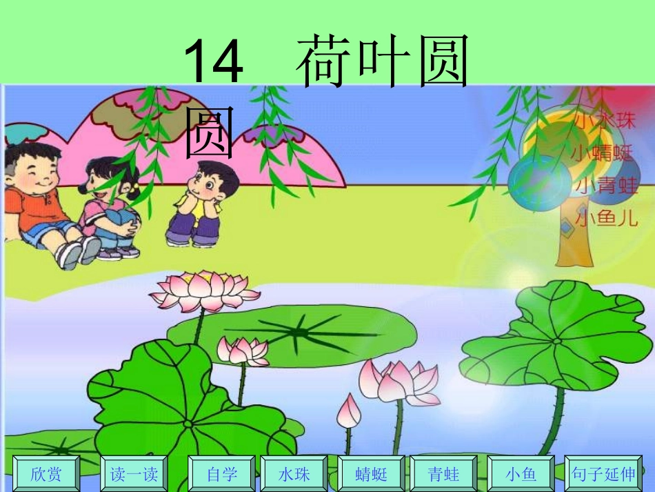 荷叶圆圆也演示文稿_第1页