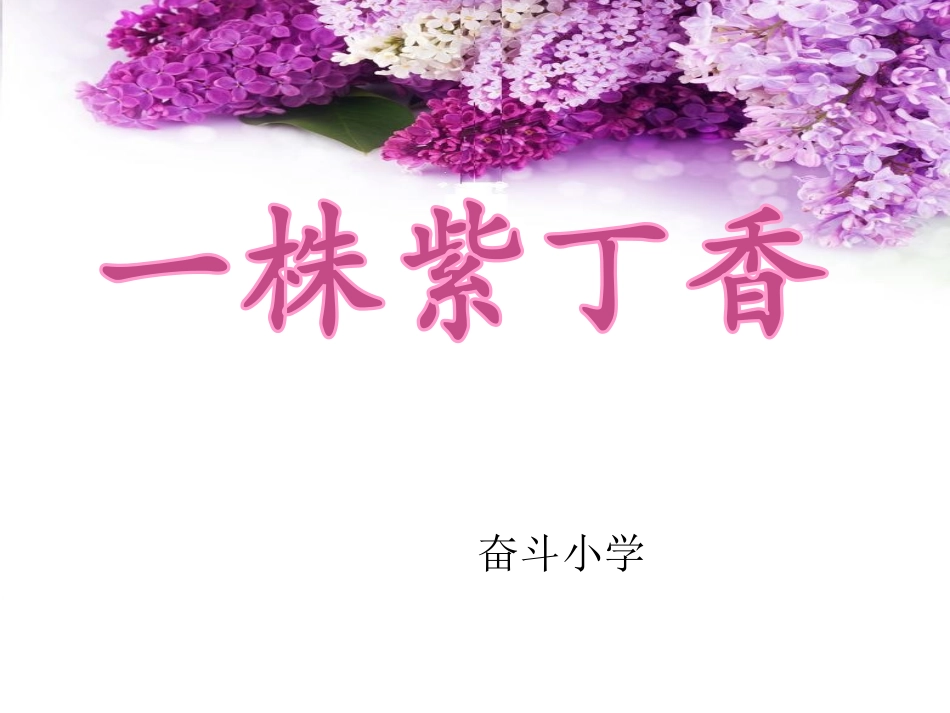 一株紫丁香课件_第1页