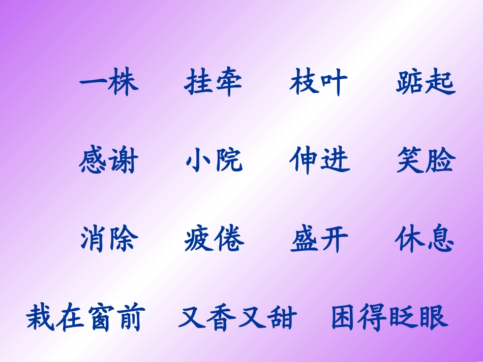 一株紫丁香课件_第2页