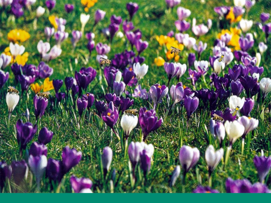 高尔基和他的儿子_第3页