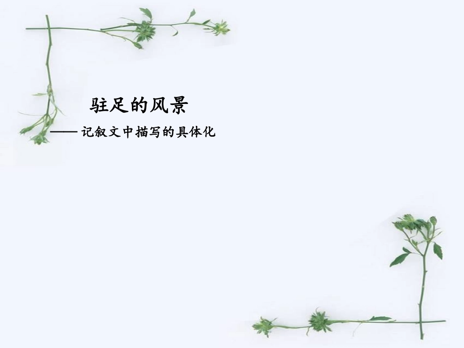 驻足的风景——记叙文描写的具体化_第1页