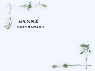 驻足的风景——记叙文描写的具体化