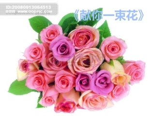 献你一束花课件1