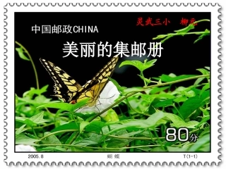 《美丽的集邮册》柳元课件.