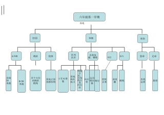 体育六年级第一学期知识结构图