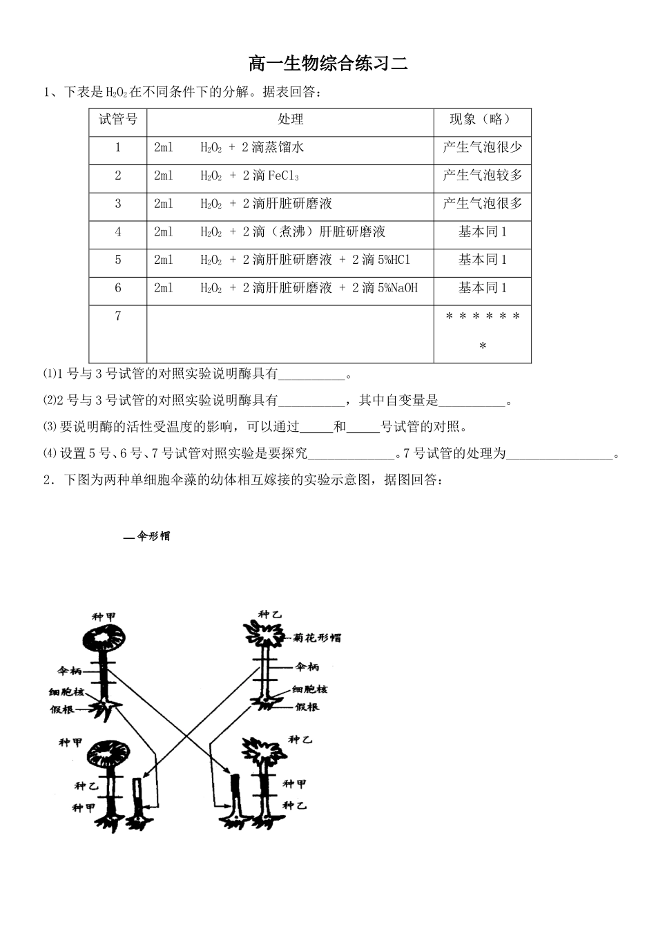 高一生物综合练习二_第1页