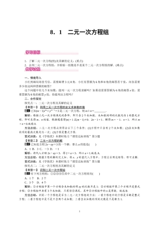 8.1.1二元一次方程组