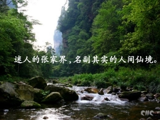 张颖《迷人的张家界》